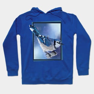 Blue Jay Hoodie